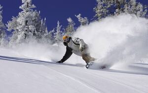 Mighty Bear Manor - Big Bear Lake, California