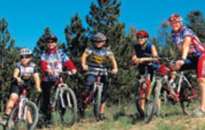 Mighty Bear Manor - Big Bear Lake, California