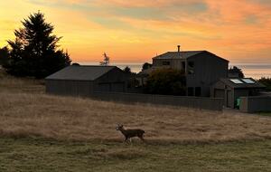 The Sea Ranch - The Sea Ranch, California