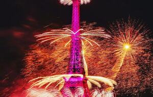 Luxury Houseboat at the Foot of the Eiffel Tower - Paris, France