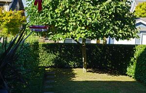 Idyllic Vancouver Retreat - Vancouver, Canada