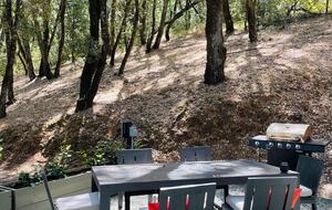 The Cohen Cottage - Plymouth, California