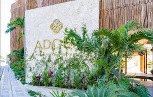 Luxury in the Jungle - Tulum, Mexico