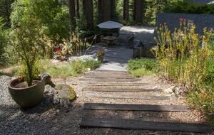 Wine Country Luxury in the Redwoods w/ Hot Tub and Fire Pit - Cazadero, California