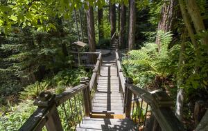 Wine Country Luxury in the Redwoods w/ Hot Tub and Fire Pit - Cazadero, California