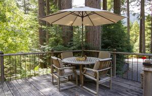 Wine Country Luxury in the Redwoods w/ Hot Tub and Fire Pit - Cazadero, California