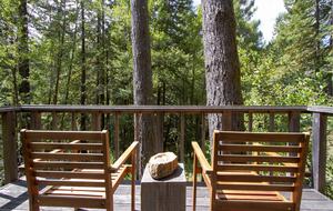 Wine Country Luxury in the Redwoods w/ Hot Tub and Fire Pit - Cazadero, California