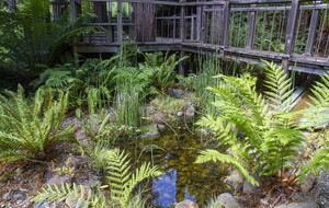 Wine Country Luxury in the Redwoods w/ Hot Tub and Fire Pit - Cazadero, California