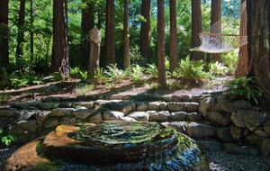 Wine Country Luxury in the Redwoods w/ Hot Tub and Fire Pit - Cazadero, California