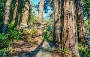 Wine Country Luxury in the Redwoods w/ Hot Tub and Fire Pit - Cazadero, California