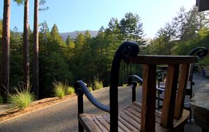 Wine Country Luxury in the Redwoods w/ Hot Tub and Fire Pit - Cazadero, California