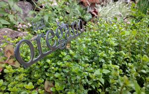 Wine Country Luxury in the Redwoods w/ Hot Tub and Fire Pit - Cazadero, California