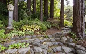 Wine Country Luxury in the Redwoods w/ Hot Tub and Fire Pit - Cazadero, California
