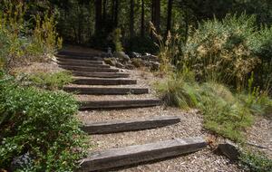 Wine Country Luxury in the Redwoods w/ Hot Tub and Fire Pit - Cazadero, California