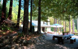 Wine Country Luxury in the Redwoods w/ Hot Tub and Fire Pit - Cazadero, California