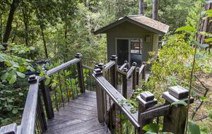 Wine Country Luxury in the Redwoods w/ Hot Tub and Fire Pit - Cazadero, California