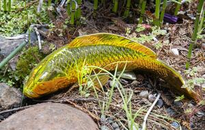 Wine Country Luxury in the Redwoods w/ Hot Tub and Fire Pit - Cazadero, California