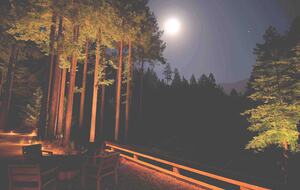 Wine Country Luxury in the Redwoods w/ Hot Tub and Fire Pit - Cazadero, California