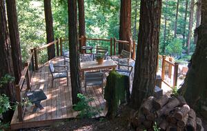 Wine Country Luxury in the Redwoods w/ Hot Tub and Fire Pit - Cazadero, California