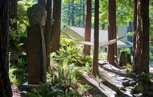Wine Country Luxury in the Redwoods w/ Hot Tub and Fire Pit - Cazadero, California
