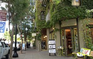 Wine Country Luxury in the Redwoods w/ Hot Tub and Fire Pit - Cazadero, California