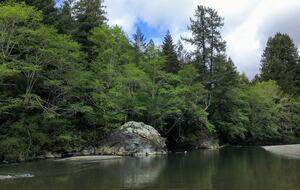 Wine Country Luxury in the Redwoods w/ Hot Tub and Fire Pit - Cazadero, California
