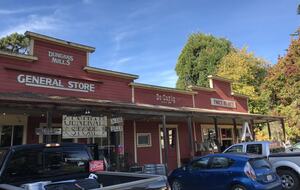 Wine Country Luxury in the Redwoods w/ Hot Tub and Fire Pit - Cazadero, California