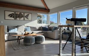 Lots of natural light and large sofa in living room.