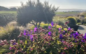 View from edge of outside patio seating