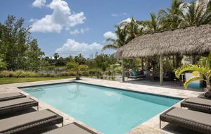 Black Marlin - Sugarloaf Key, Florida