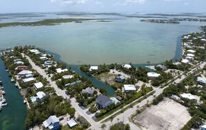 Black Marlin - Sugarloaf Key, Florida