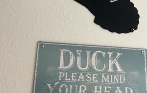 Low ceilings at detached guest suite not for tall persons.