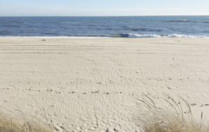 Hither Hills Designer Retreat - Montauk, New York