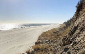 Hither Hills Designer Retreat - Montauk, New York