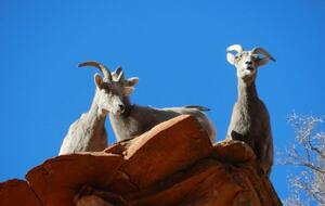 Zion National Park Retreat - Carmel, Utah