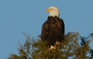 Zion National Park Retreat - Carmel, Utah