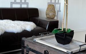 Washington DC At Its Best - Washington DC, Washington DC