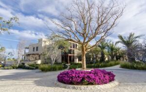 Casa Cobra - San Jose del Cabo, Mexico