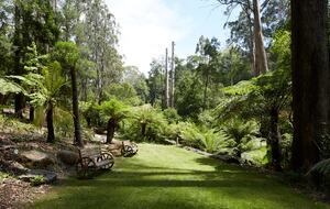 The Grand Lodge | Fernglen Forest Retreat - Mount Dandenong, Australia