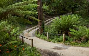 The Grand Lodge | Fernglen Forest Retreat - Mount Dandenong, Australia