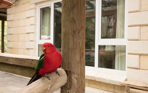 The Grand Lodge | Fernglen Forest Retreat - Mount Dandenong, Australia