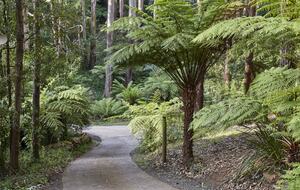 The Grand Lodge | Fernglen Forest Retreat - Mount Dandenong, Australia