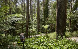 The Grand Lodge | Fernglen Forest Retreat - Mount Dandenong, Australia