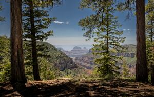 Grand Canyon North Rim - About 3 hours away