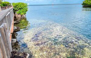 Florida Bay Club | Key Largo 3 bedroom townhouse & boat slip - Key Largo, Florida