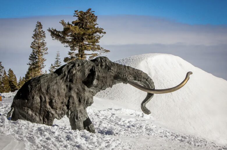 Mammoth Lakes Chateau Villa - Mammoth Lakes, California