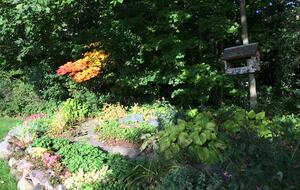 Epic Golfing Destination in Kohler, Wisconsin - Kohler, Wisconsin