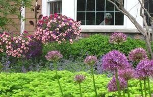 Epic Golfing Destination in Kohler, Wisconsin - Kohler, Wisconsin