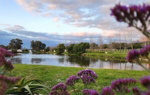 Manor House Fijndraai Estate - Stellenbosch, South Africa