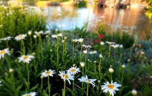 Manor House Fijndraai Estate - Stellenbosch, South Africa